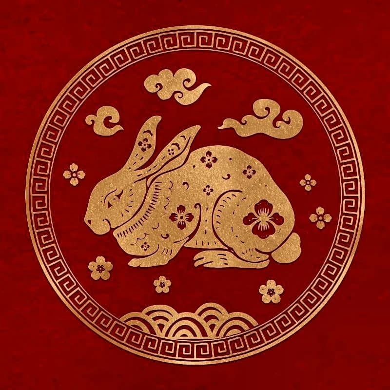 Reoccurring Rabbit Logo